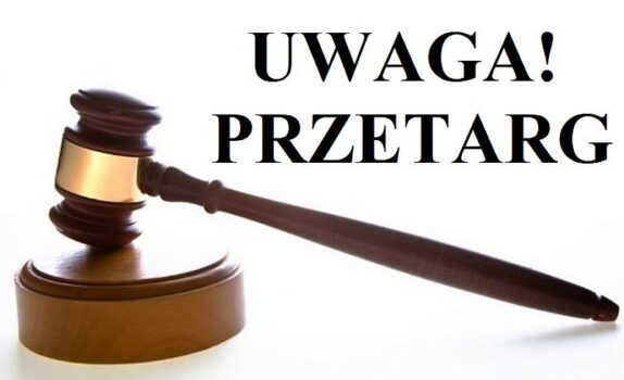 Pierwszy ustny przetarg nieograniczony na dzierżawę w sezonie turystycznym 2025 terenów stanowiących własność Gminy Krasnobród, położonych nad zalewem