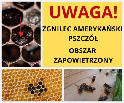ROZPORZĄDZENIE NR 3 POWIATOWEGO LEKARZA WETERYNARII W ZAMOŚCIU z dnia 11 lipca 2025 r. w sprawie zwalczania zgnilca amerykańskiego pszczół na terenie części gmin: Adamów, Krasnobród, Zamość oraz miasta Krasnobród